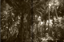 Sao Tome 16-17