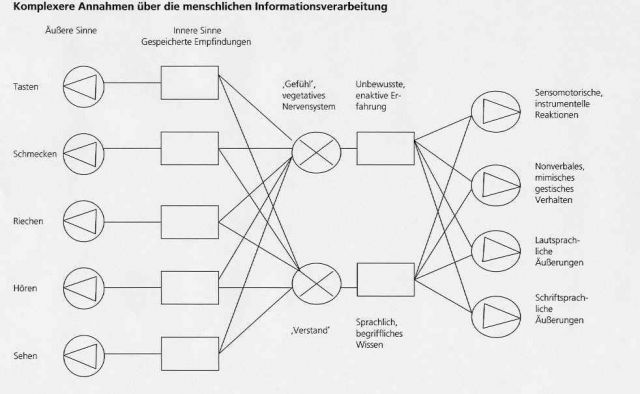 Komplexe menschliche Informationsverarbeitung